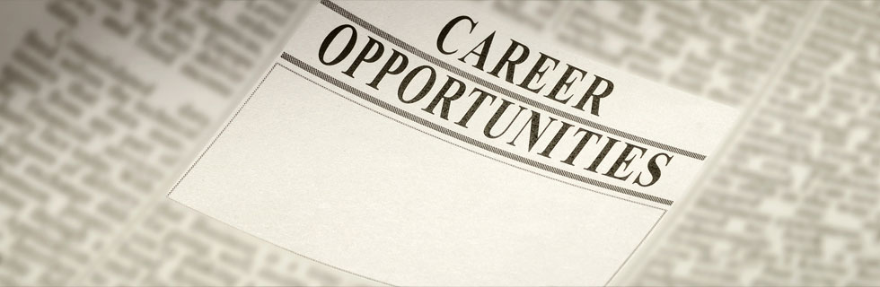 Career